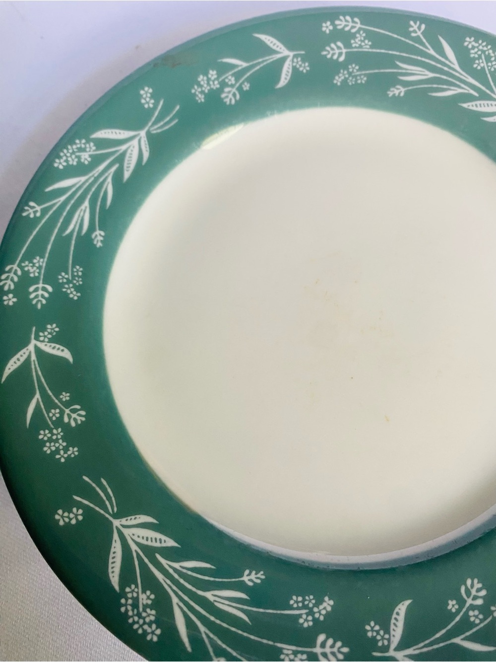 VNTG Shenango China International Hotel Supply Green Floral Rim Plate 6.25”